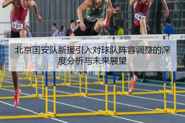 北京国安队新援引入对球队阵容调整的深度分析与未来展望