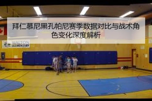 bai-ren-mu-ni-hei-kong-pa-ni-sai-ji-shu-ju-dui-bi-yu-zhan-shu-jue-se-bian-hua-shen-du-jie-xi-2-165.jpg